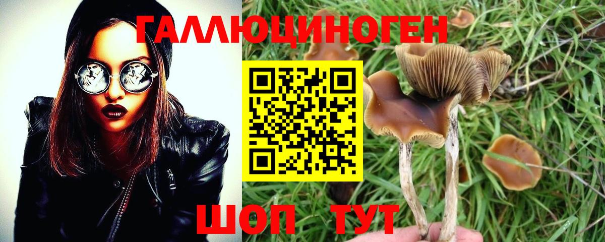 Псилоцибиновые грибы GOLDEN TEACHER Рубцовск
