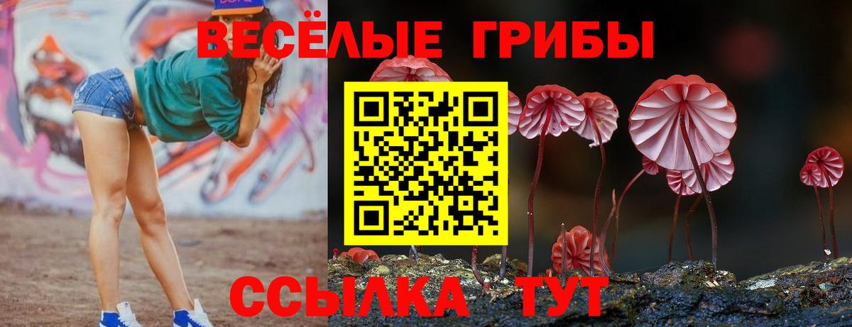 Рубцовск  Галлюциногенные грибы MAGIC MUSHROOMS  Вход с VPN 
